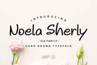 Noela Sherly Font for Modern Web Design