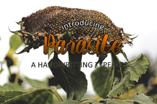 Parasite: Bold Script Font for Makers